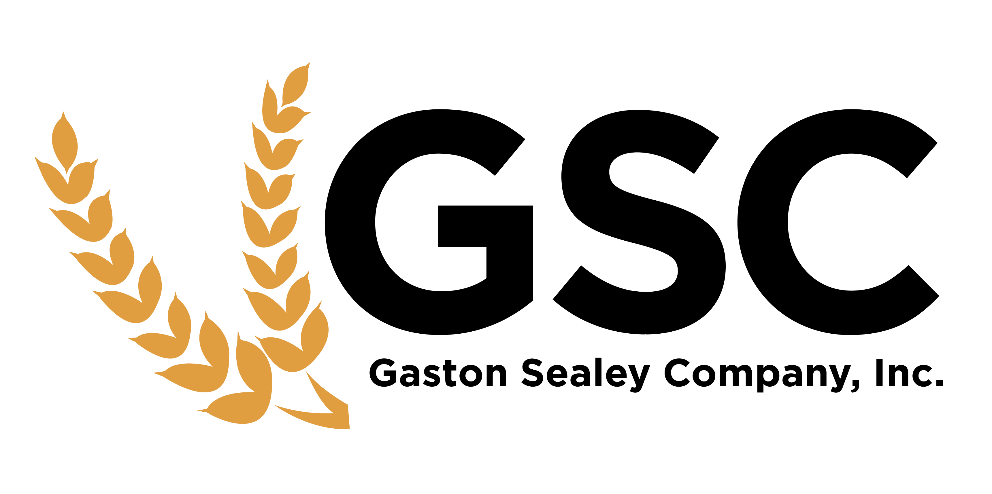 Footer Logo